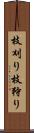 枝刈り Scroll