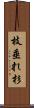 枝垂れ杉 Scroll