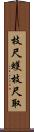 枝尺蠖 Scroll