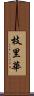 枝里華 Scroll