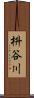 枡谷川 Scroll