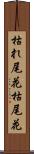 枯れ尾花 Scroll