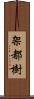 架都樹 Scroll