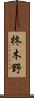 柊木野 Scroll