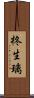 柊生璃 Scroll