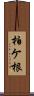 柏ケ根 Scroll