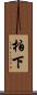 柏下 Scroll