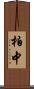 柏中 Scroll