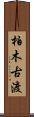 柏木古渡 Scroll