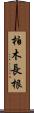 柏木長根 Scroll