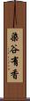 染谷有香 Scroll