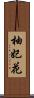 柚妃花 Scroll