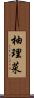 柚理菜 Scroll