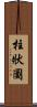 柱狀圖 Scroll