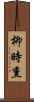 柳時熏 Scroll