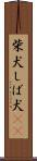 柴犬 Scroll