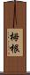 栂根 Scroll