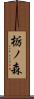 栃ノ森 Scroll