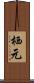 栖元 Scroll
