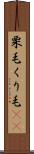 栗毛 Scroll