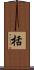 栝 Scroll