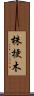 株梗木 Scroll