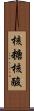 核糖核酸 Scroll