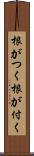 根がつく Scroll