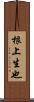 根上生也 Scroll
