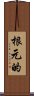 根元的 Scroll