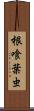 根喰葉虫 Scroll