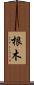 根木 Scroll