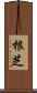 根芝 Scroll