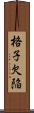 格子欠陥 Scroll