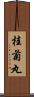 桂菊丸 Scroll
