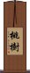 桃樹 Scroll