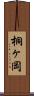 桐ヶ岡 Scroll