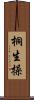 桐生操 Scroll