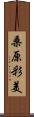 桑原彩美 Scroll