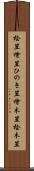 桧笠 Scroll