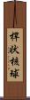 桿状核球 Scroll