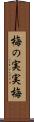 梅の実 Scroll