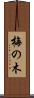 梅の木 Scroll
