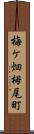 梅ケ畑栂尾町 Scroll