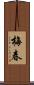 梅春 Scroll