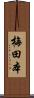 梅田本 Scroll