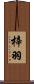 梓羽 Scroll