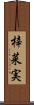 梓菜実 Scroll