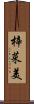 梓菜美 Scroll
