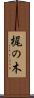 梶の木 Scroll